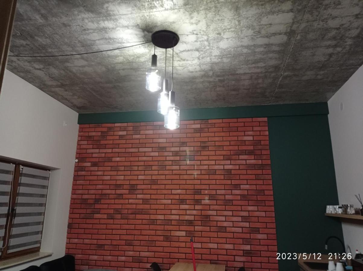Вілла Loft Park Zator, Lokalizacja Przy Wej Parku Екстер'єр фото