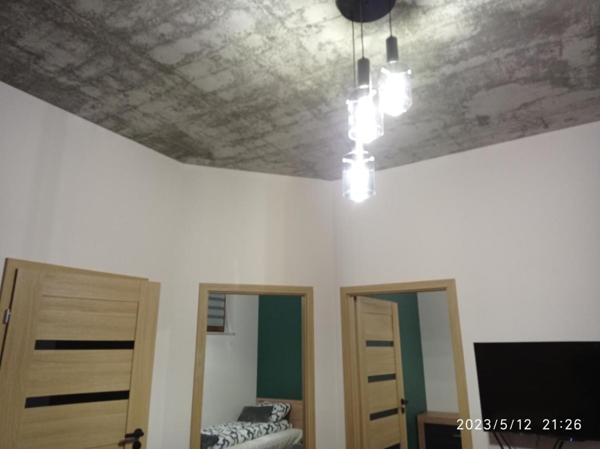 Вілла Loft Park Zator, Lokalizacja Przy Wej Parku Екстер'єр фото